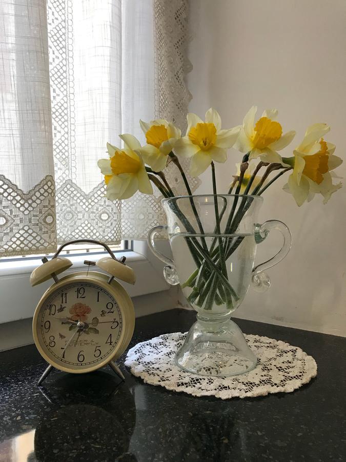 Apartment Natalya Lviv Luaran gambar